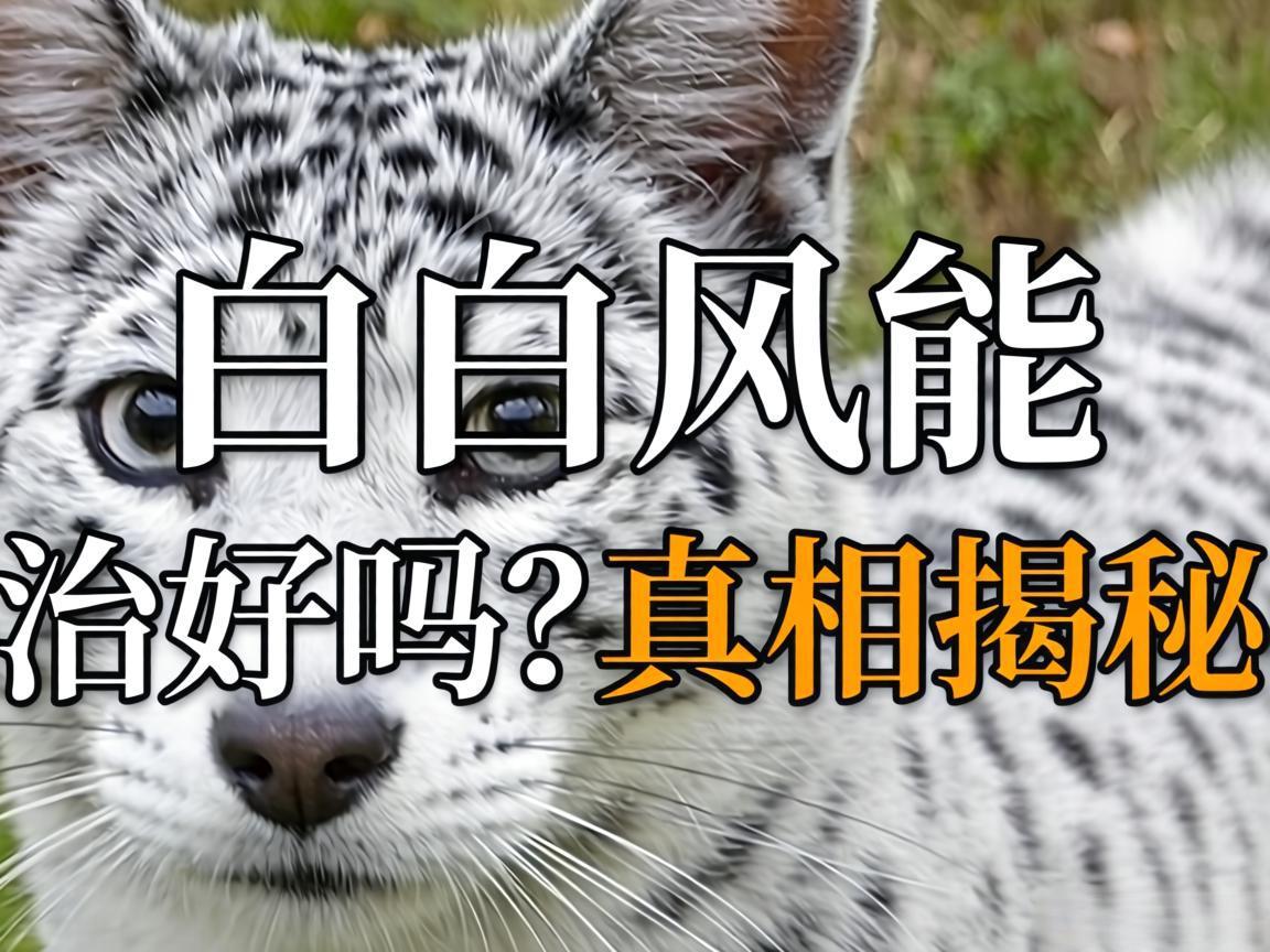 白癜风能治好吗？真相揭秘
