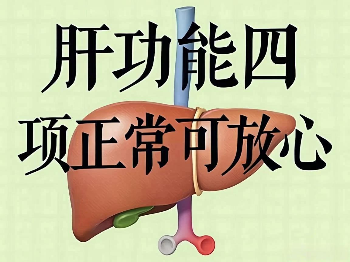 肝功能四项正常可放心