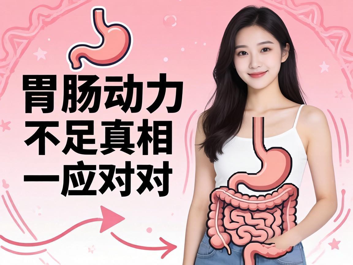 胃肠动力不足的真相与应对